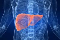 Рак печени - лечение