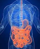 Рак кишечника