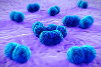 Т-клеточная терапия и противораковые вакцины в борьбе с лейкозом